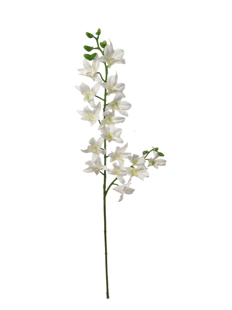 Cream Dendrobium Spray, 34-Inch, Silk Flowers, Spring & Summer, Floral Sprays, Floral Home by Artificial Flowers